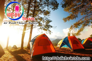Tour Đà Lạt – Camping 2 ngày 2 đêm