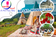 Tour du lịch Đà Lạt 3 ngày 3 đêm (Mongo land)